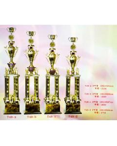獎盃AS-P135-T49