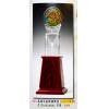 AS-P73-P43