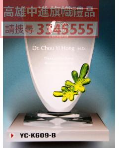 YC-P62-YC-K609-B夏之耘